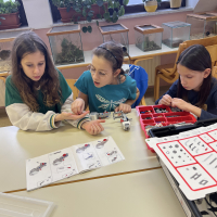 IMG-4223