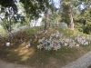 dscn3907